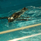 Image for article titled Japan Has Too Many Penguin Bars